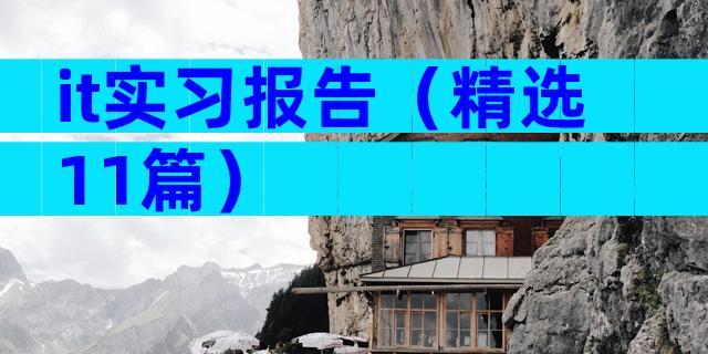 it实习报告（精选11篇）