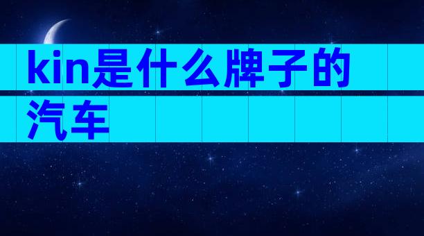 kin是什么牌子的汽车