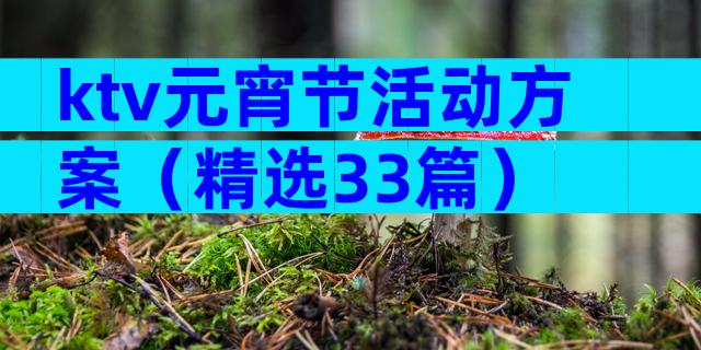 ktv元宵节活动方案（精选33篇）