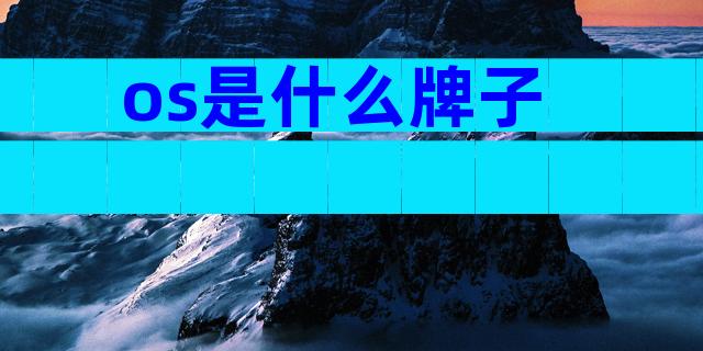 os是什么牌子