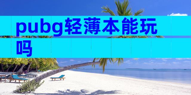 pubg轻薄本能玩吗