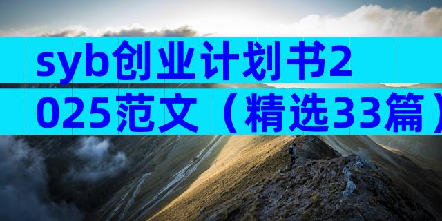 syb创业计划书2025范文（精选33篇）