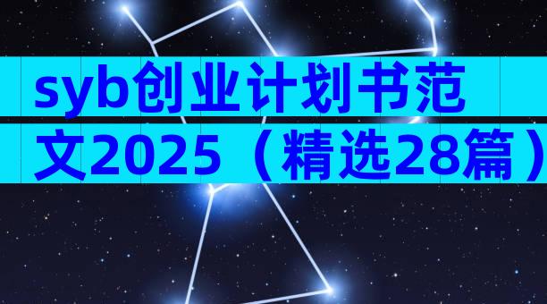 syb创业计划书范文2025（精选28篇）