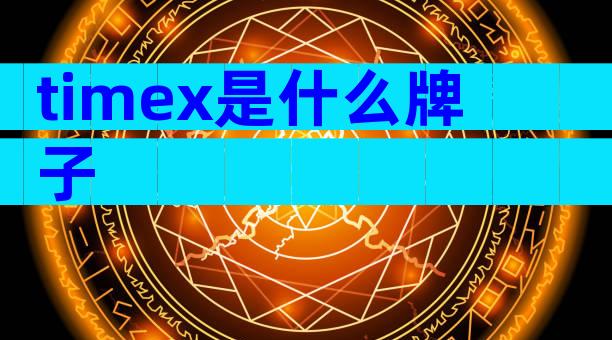 timex是什么牌子