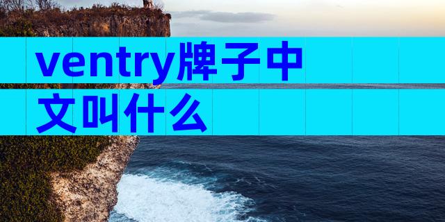 ventry牌子中文叫什么