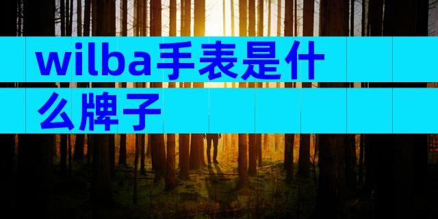 wilba手表是什么牌子