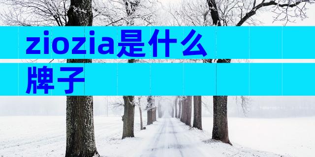 ziozia是什么牌子