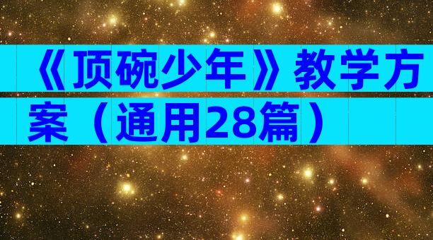 《顶碗少年》教学方案（通用28篇）