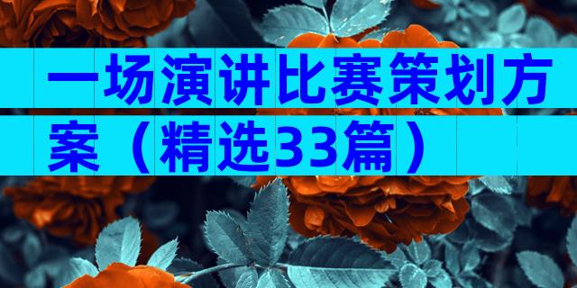 一场演讲比赛策划方案（精选33篇）