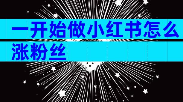 一开始做小红书怎么涨粉丝