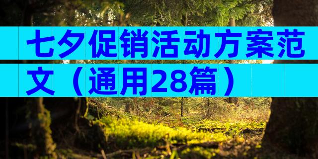 七夕促销活动方案范文（通用28篇）