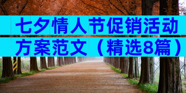 七夕情人节促销活动方案范文（精选8篇）