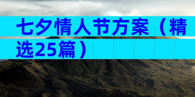 七夕情人节方案（精选25篇）