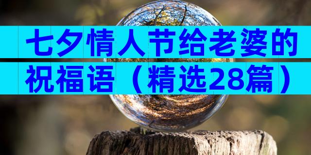 七夕情人节给老婆的祝福语（精选28篇）