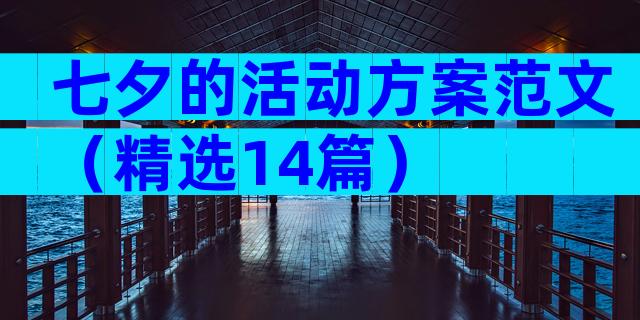 七夕的活动方案范文（精选14篇）