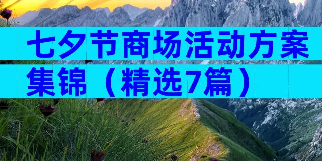 七夕节商场活动方案集锦（精选7篇）