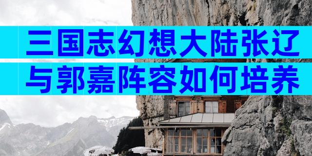 三国志幻想大陆张辽与郭嘉阵容如何培养