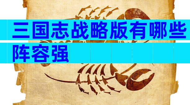 三国志战略版有哪些阵容强