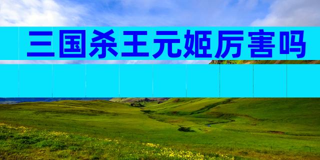 三国杀王元姬厉害吗