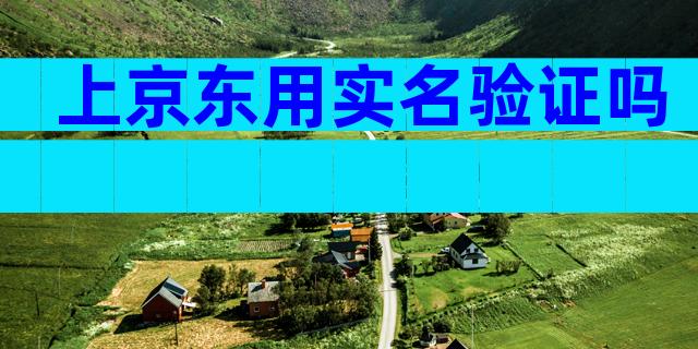 上京东用实名验证吗