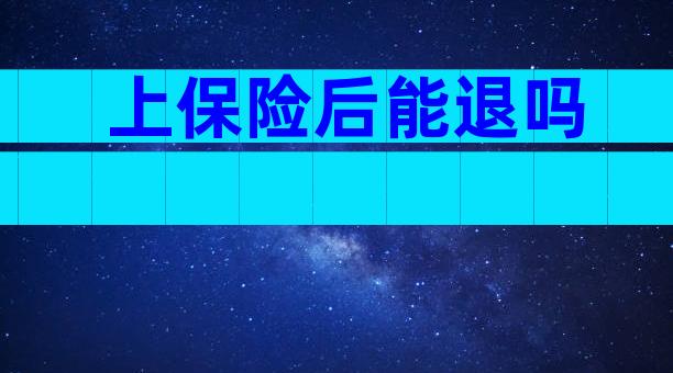 上保险后能退吗