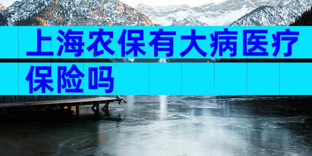 上海农保有大病医疗保险吗