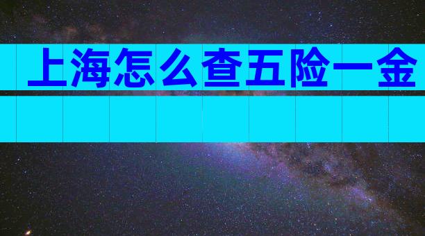 上海怎么查五险一金