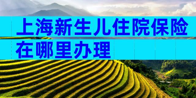上海新生儿住院保险在哪里办理