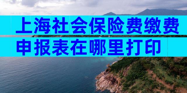 上海社会保险费缴费申报表在哪里打印