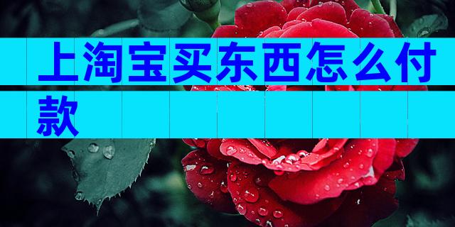 上淘宝买东西怎么付款