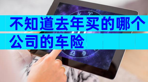 不知道去年买的哪个公司的车险