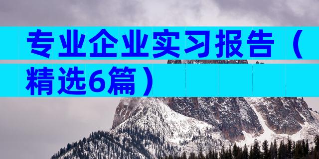 专业企业实习报告（精选6篇）