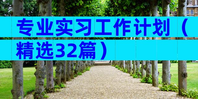 专业实习工作计划（精选32篇）