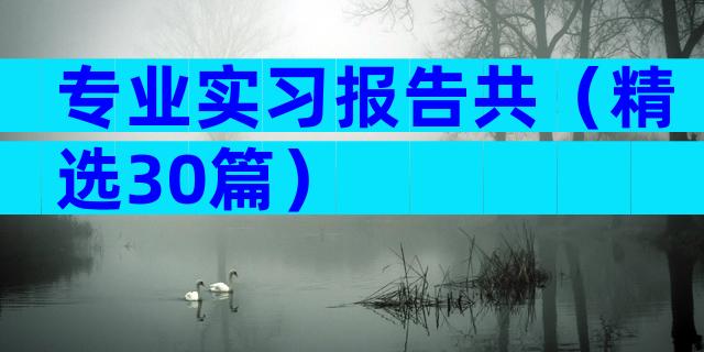 专业实习报告共（精选30篇）