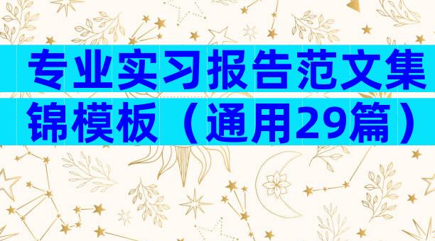 专业实习报告范文集锦模板（通用29篇）