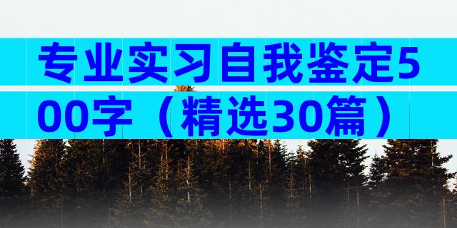 专业实习自我鉴定500字（精选30篇）