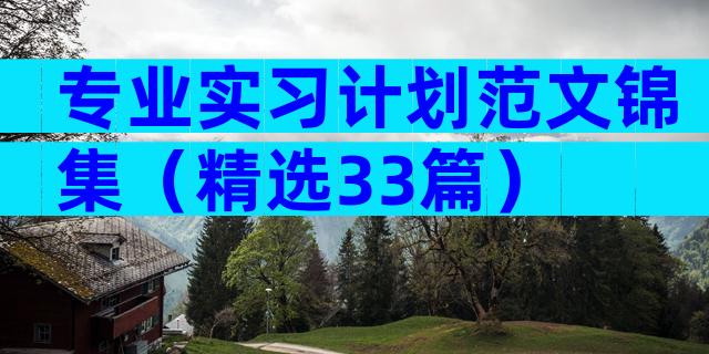 专业实习计划范文锦集（精选33篇）