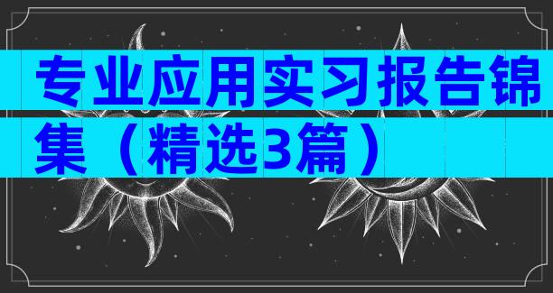 专业应用实习报告锦集（精选3篇）