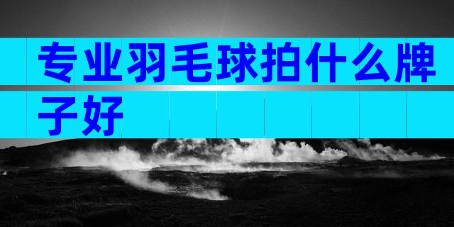 专业羽毛球拍什么牌子好