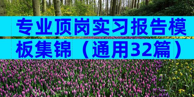 专业顶岗实习报告模板集锦（通用32篇）