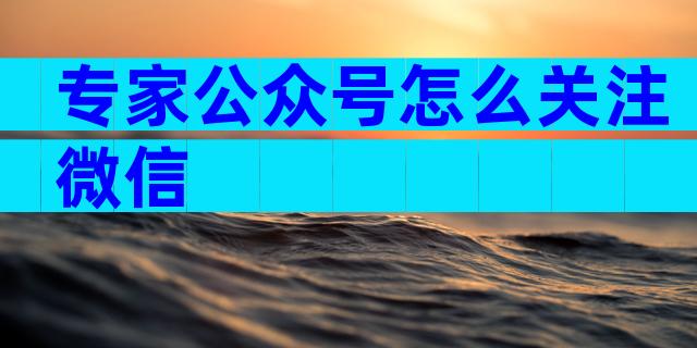 专家公众号怎么关注微信