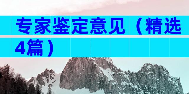 专家鉴定意见（精选4篇）