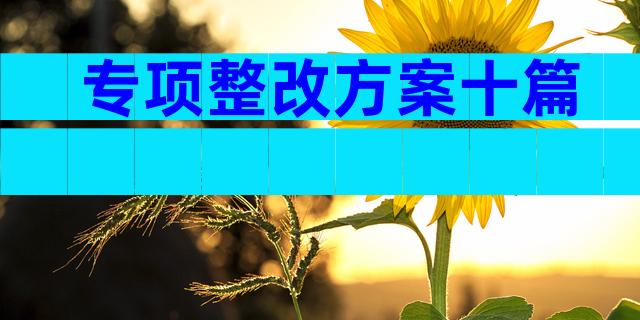 专项整改方案十篇
