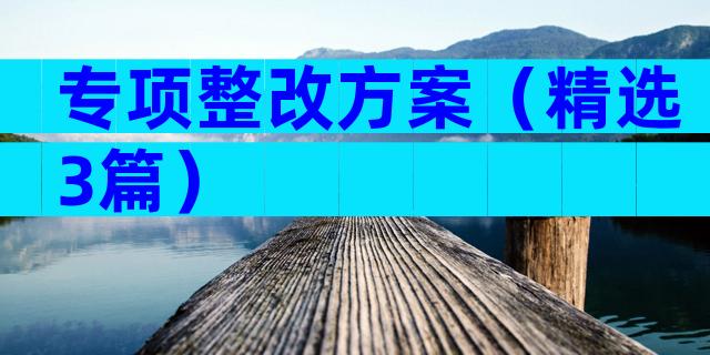 专项整改方案（精选3篇）