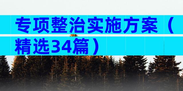 专项整治实施方案（精选34篇）