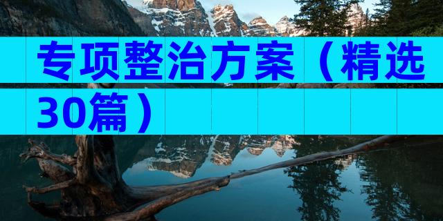 专项整治方案（精选30篇）