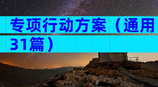 专项行动方案（通用31篇）