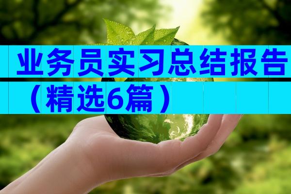 业务员实习总结报告（精选6篇）
