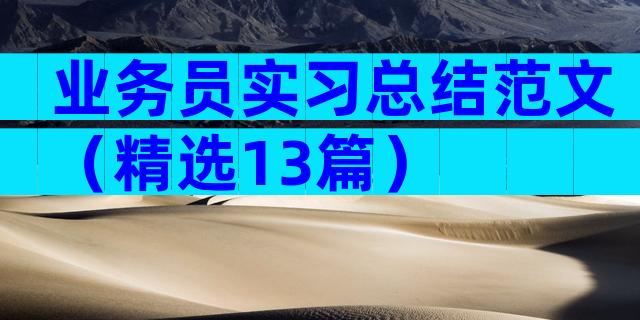业务员实习总结范文（精选13篇）