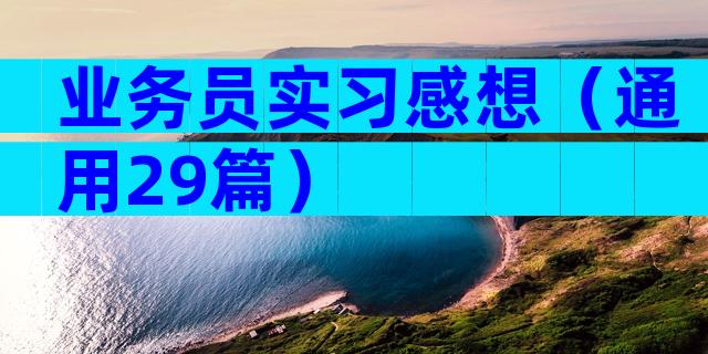 业务员实习感想（通用29篇）